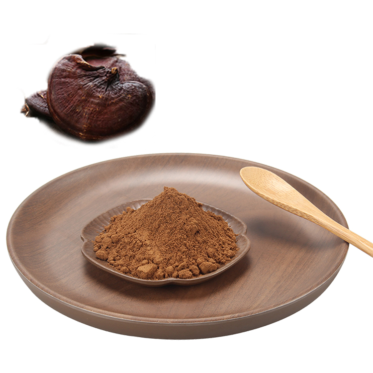 What Makes Our Reishi Mushroom Extract Truly Organic